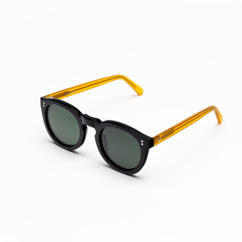 The Allen Paradox N6 Sunglasses