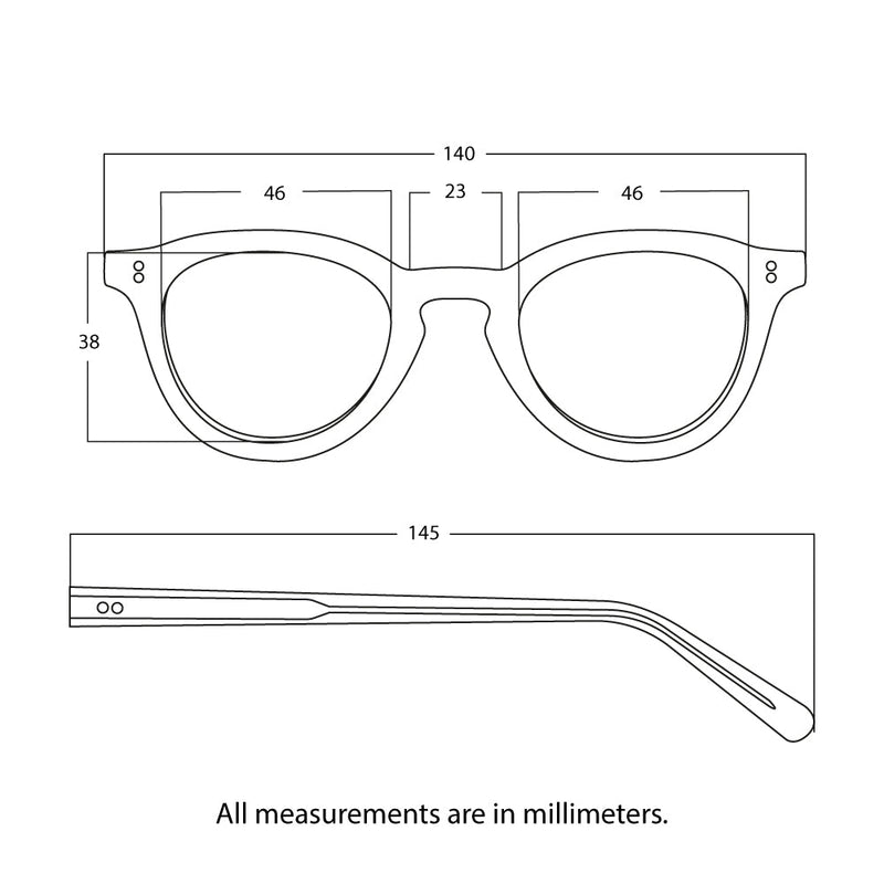 The Spielberg Tortoise Sunglasses