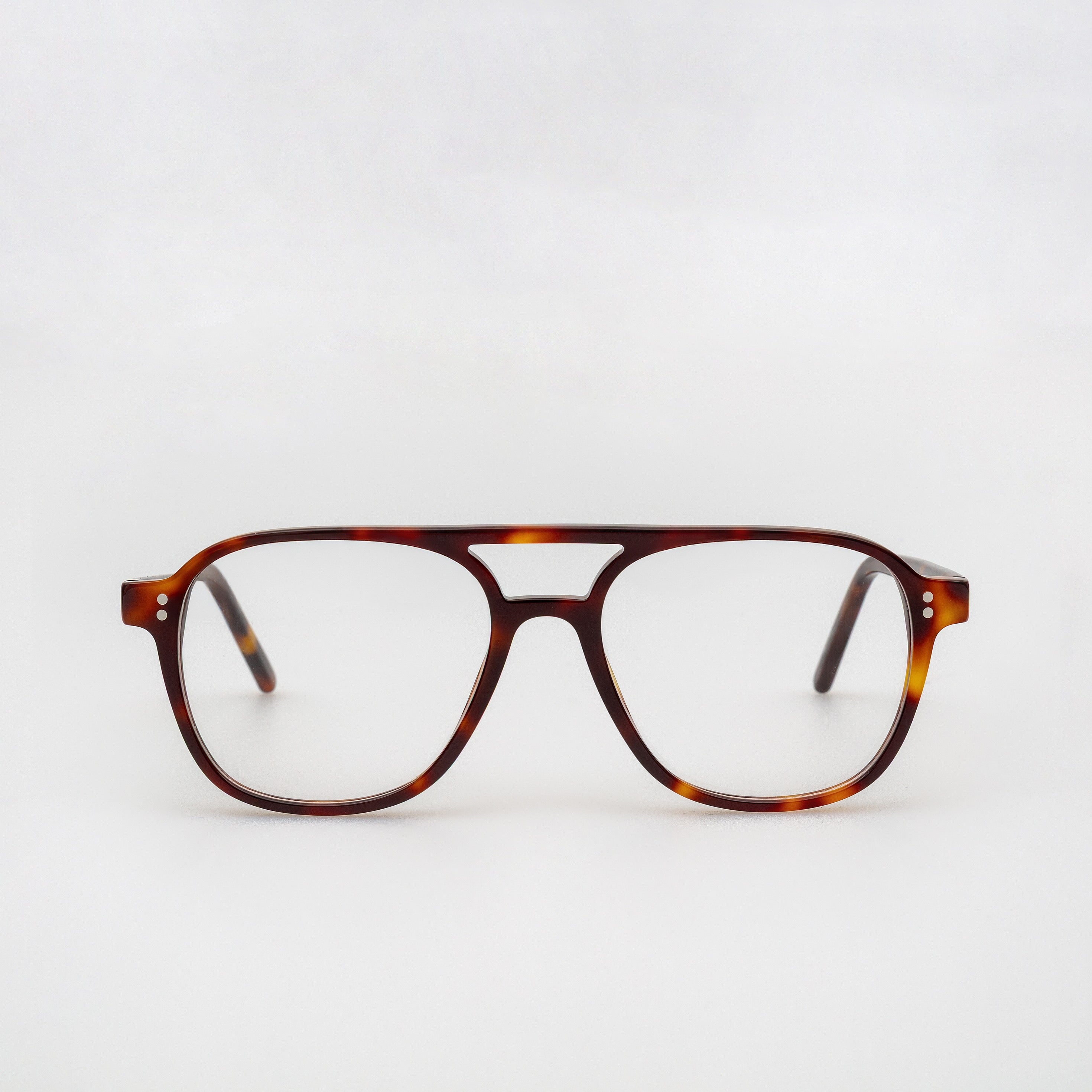 The Truman Tortoise