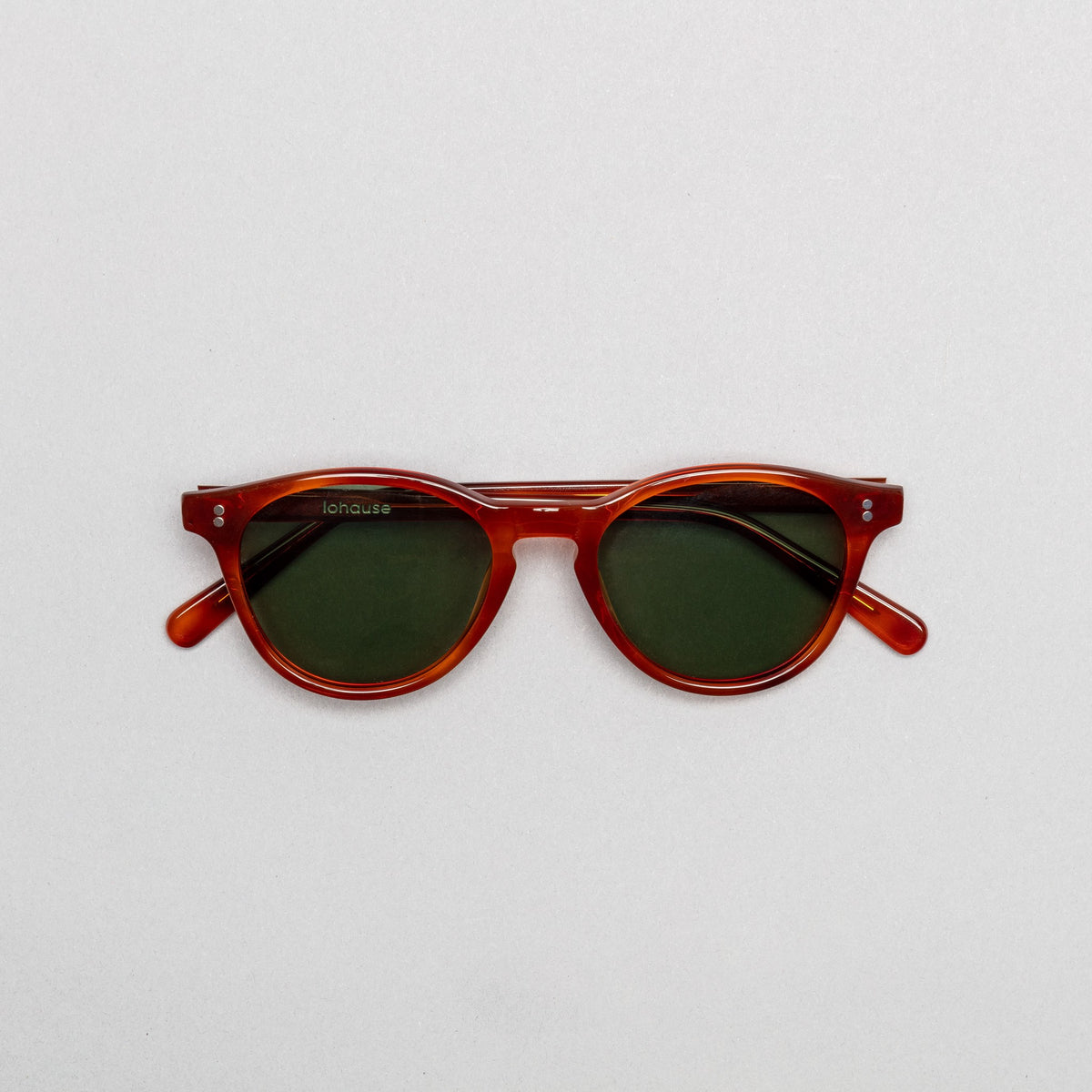 The Spielberg Tortoise Sunglasses