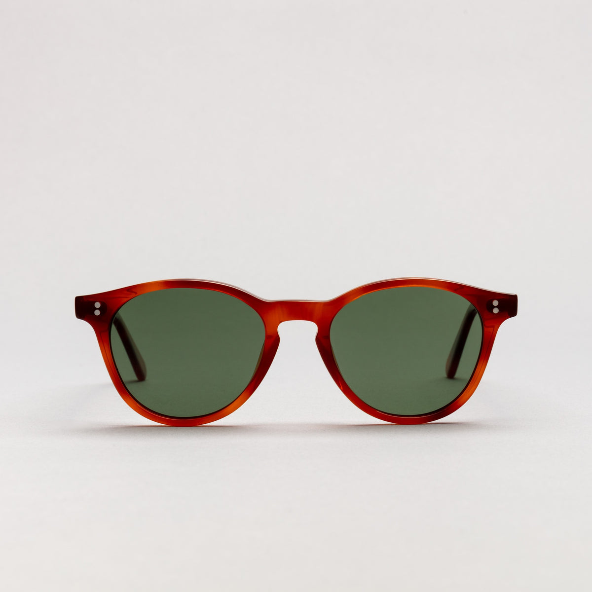 The Spielberg Tortoise Sunglasses